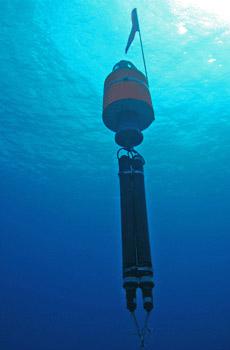 A deep water EAR deployed off of Oahu, Hawaii. Image credit: NOAA.