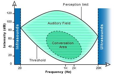 An audiometric curve shows the range of sounds that humans can hear. 