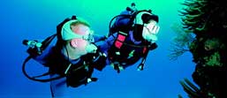 Acoustic communication systems allow divers to talk to each other underwater.