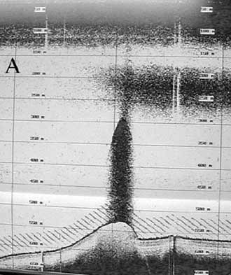 a large plume of methane-rich water