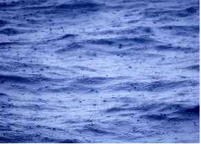 Very large raindrops splashing on the ocean surface