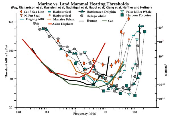 Marine vs.Land Mammal Hearing Thresholds